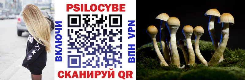 как найти Ржев Псилоцибиновые грибы Psilocybine cubensis