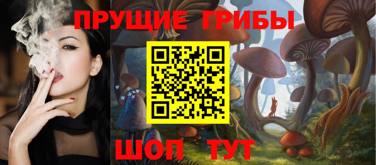 Галлюциногенные грибы Psilocybe Ржев